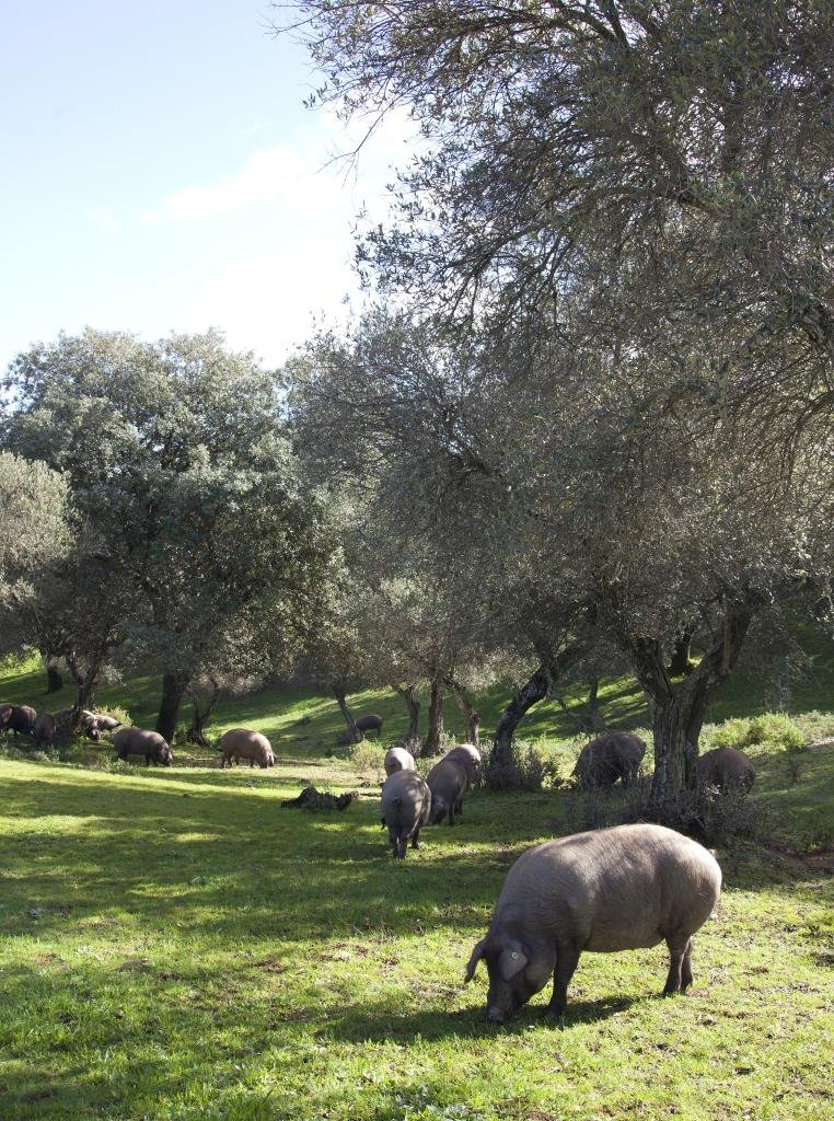 WhatsApp Image 2025-12-09 at 12.14.25